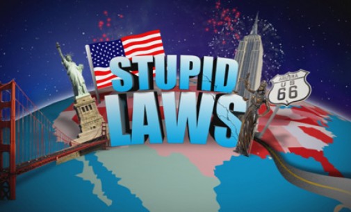 The Different Types of Stupid Laws