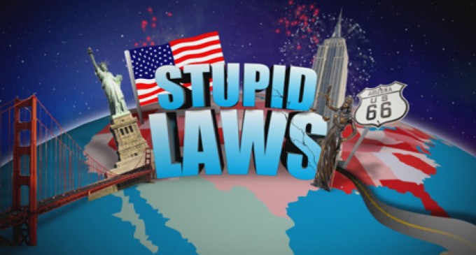 The Different Types of Stupid Laws