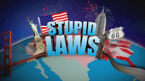 The Different Types of Stupid Laws